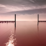 Carmin - Eglantine