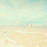 bettinagouchetphotographe - Eglantine