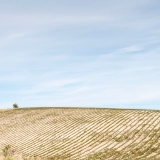 Terres Arides - Paysage Drôme-Ardèche