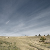 Terres arides 2 - Paysage Drôme-Ardèche