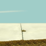 Camargue salicorne et bois - Etangs