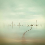 Les Flots dormants - Etangs