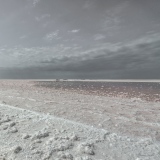 Splendeur de l'Or Blanc - Blanc