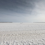 Blancheur Immaculée - Blanc