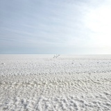 Désert de Sel - Blanc