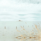 Flots dormants - Zen