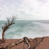 Tamaris - Paysages Marins